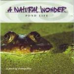 A Natural Wonder - Pond Life
